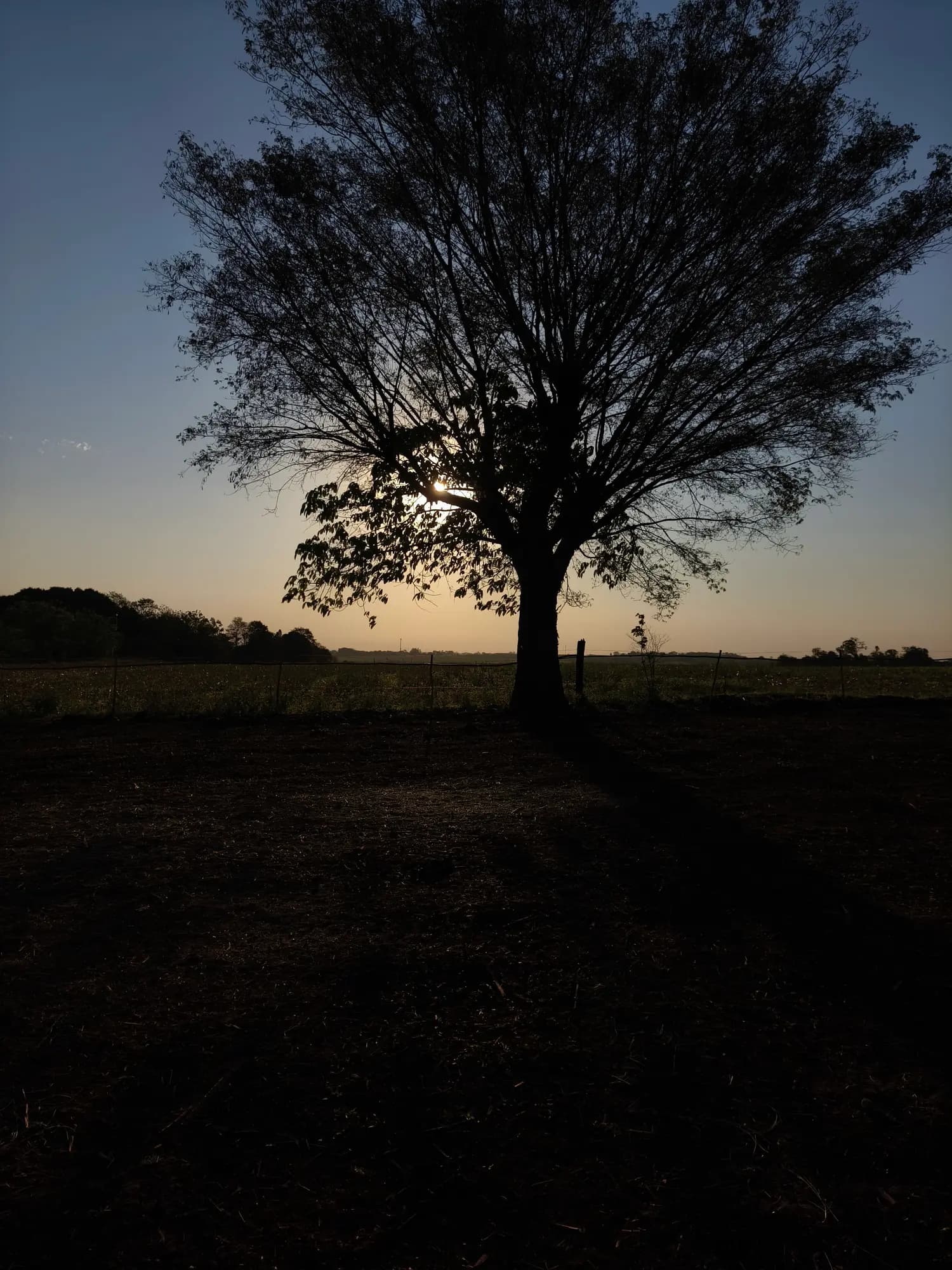 EquoSpace